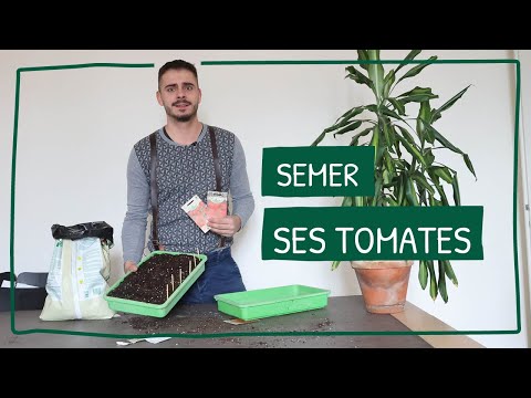 , title : 'Tout ce que vous devez savoir sur les semis de tomates!'