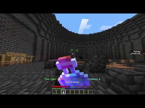 Time stopper potion (only works on mobs)