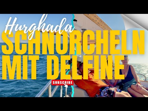 Hurghada Abenteuer: Delfine hautnah erleben beim Schnorcheln 😍🐬