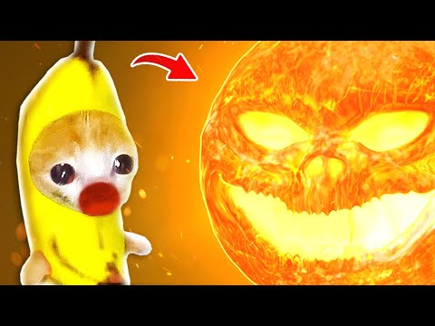 The SUN WOKE UP!  Banana Cat vs Evil Sun Monster ☀️🐱 Baby Banana Cat Compilation | Happy Cat MEME 😿