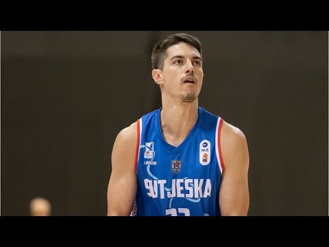 Stefan Mitrovic 2024/2025 highlights