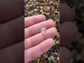Icicle-Like Glass Pebble Found on the Beach 🌊✨ Rare Sea Glass Discovery