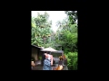 Kitaro - Into the Forest