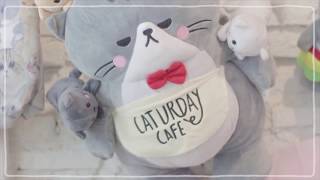 SistaCafe Channel : พาเที่ยว Saturday Cafe