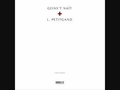 GEINS'T NAÏT & LAURENT PETITGAND - DSH