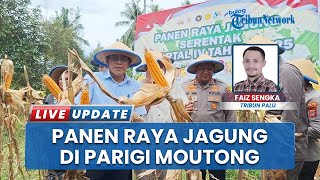 Panen Raya Jagung Polres Parigi Moutong: Lahan 15 Hektare, Produksi Diproyeksikan 30–50 Ton