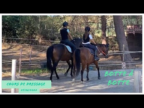 ♡ [COURS N°141] Dressage du 25/06/2022 ♡