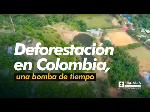 Deforestación en Colombia, una bomba de tiempo