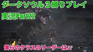 ダークソウル３縛りプレイ実況 | 続・カーサスの地下墓地探検【Part22】