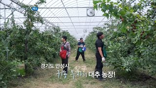 [예고_166회] 대추로 뭉친 오! 부자