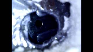 Older SentrySafe cracking