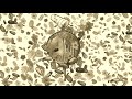 Future Juice WRLD WRLD On Drugs INSTRUMENTAL
