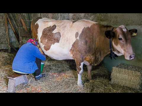 This Grandma Is 85 Years Old - And She's Still in the Garden Every Day