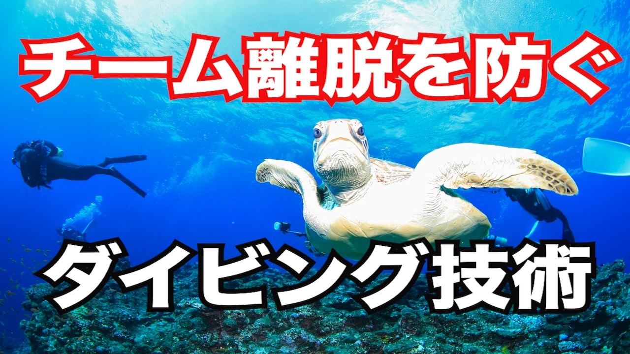 【ダイビング中のチーム離脱を防ぐ】熱烈先生のダイビング講座
