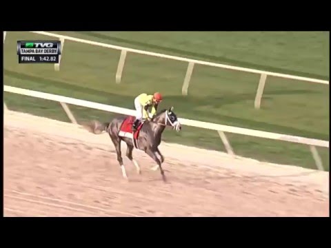 RACE REPLAY: 2016 Tampa Bay Derby Featuring Destin