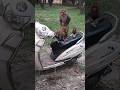 Monkey Meeting Viral Shorts