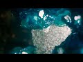 WATCH THIS VIDEO AFTER INHALING NANGS MORE INTENSE