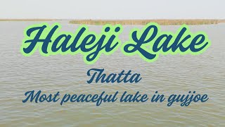 Haleji Lake Gujjo Thatta