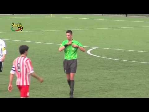 Archief: Samenvatting SWZ Boso Sneek - Hollandia