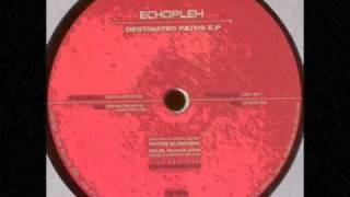Echoplex-Destinated paths (Dark mix)