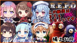 【橘まお視点】よく笑い、よく叫べ！【R.E.P.O】
