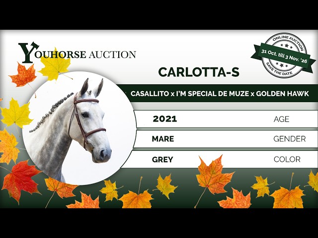 Carlotta-S