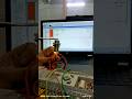 Sensor Wiring With PLC Programming Electrical Plc Sensor
