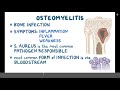 Osteomyelitis - Causes, Symptoms, Diagnosis & Treatment (Pathology)