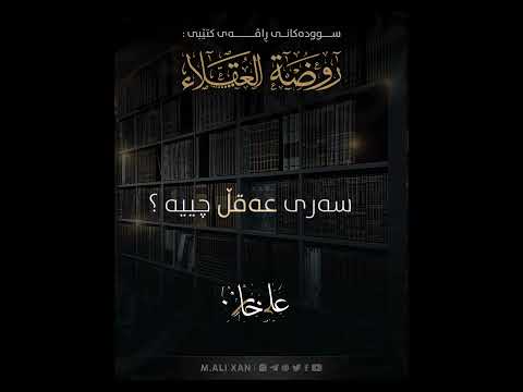 سەری عەقڵ چییە؟