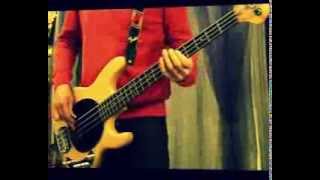 Rolling Sly Stone - Red Hot Chili Peppers bass cover