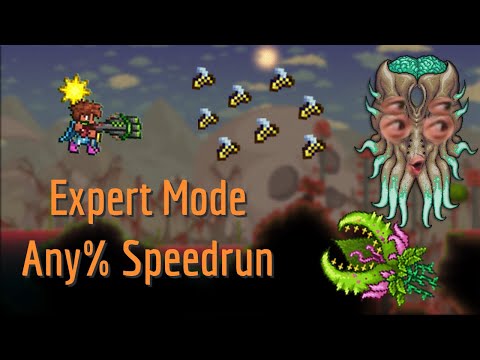 Expert Moon Lord in 1:29:11 - Glitched Random Seed Speedrun [1.4.1.1 WR]