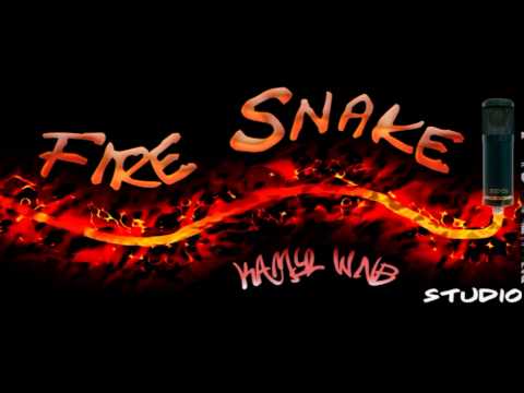 Kamyl WNB - Quo vadis