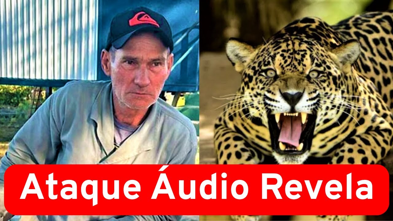 Ataque de Onça no Pantanal, Áudio Revela Como Realmente Aconteceu