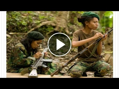 Beatri'z War Full Movie