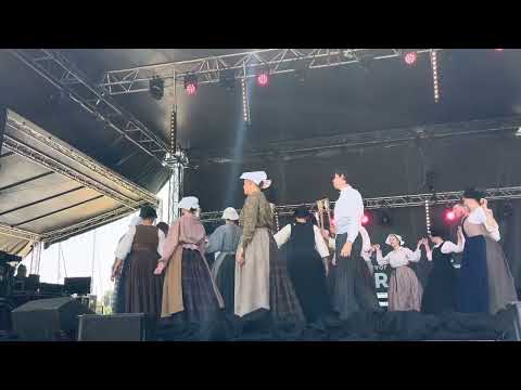 Cercle de Pluneret - Festival d’Arvor