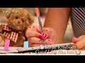 Bahut Khoobsurat Ghazal Likh Raha Hoon Whatsapp Status