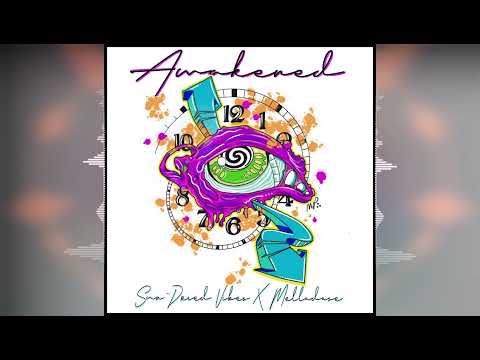 Sun-Dried Vibes & Mellodose - Awakened [Reggae 2022]