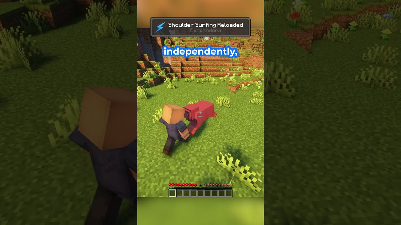 This mod fixes Minecraft's Third-Person!