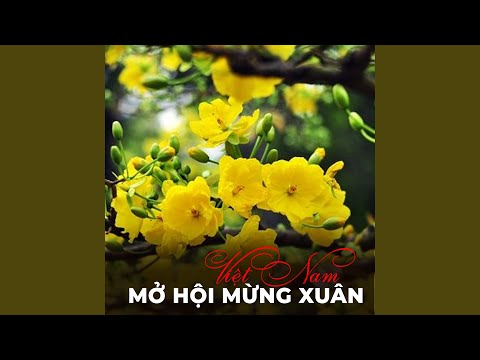 Thể hiện bởi Minh Quân