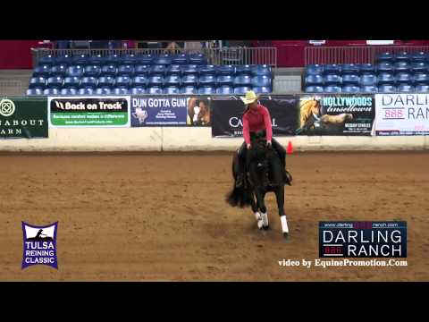 Nu Smoking Spark ridden by Vanessa Strotmann  - 2015 Tulsa Reining Classic