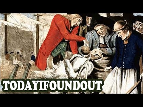 download lagu mp3 mp4 Tar And Feather, download lagu Tar And Feather gratis, unduh video klip Tar And Feather