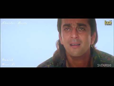 Din Mein Leti Hai Eagle Jhankar   Amaanat   Kumar Sanu & Alka Yagnik   ila Arun   By Salman King