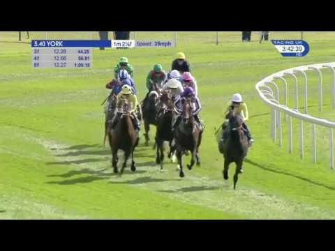 Postponed by Dubawi wins the G1 Juddmonte International Stakes at York