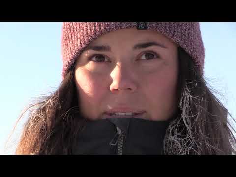 Wildscape sitt vekstprogram - introfilm