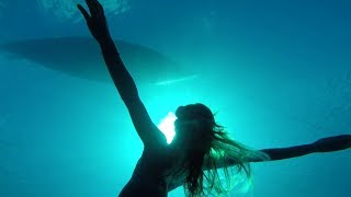 Steer With your Heart - Voyage of Swell