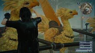 FF15 WINDOWS EDITION を実況するよ！Part.14