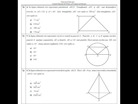Official model of the national mathematics assessment exam 2024-2025 - Subjects I and II