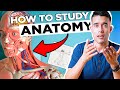 How To Study Anatomy In Medical School