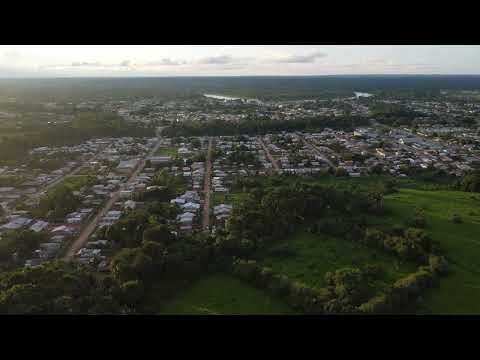Palmeiras de buriti e o pôr do sol em Feijó Acre