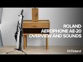 Roland Controller Aerophone AE-20